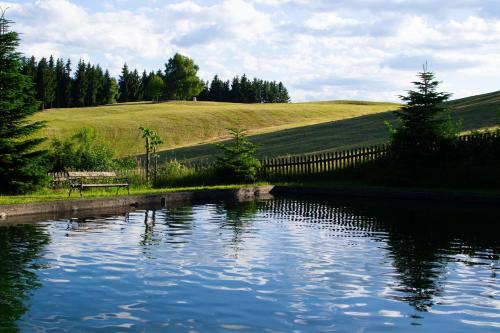 a bench sitting next to a river with a field at Ferienhaus Koglegg in Wies