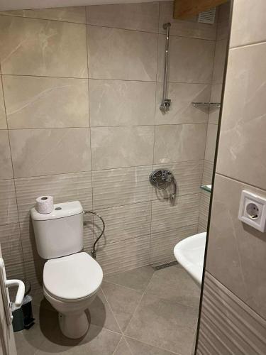 a bathroom with a toilet and a shower and a sink at Hotel Four Seasons in Samokov