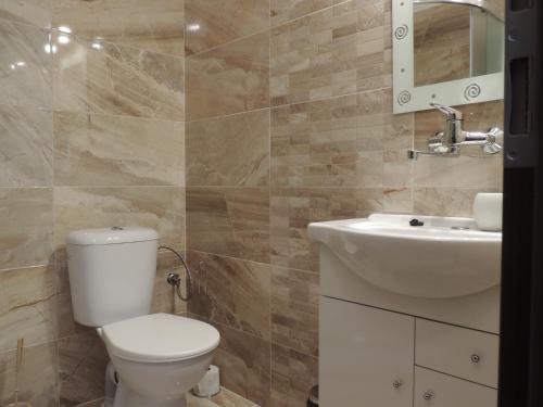 a bathroom with a toilet and a sink at Vila Mária Rapovce in Rapovce