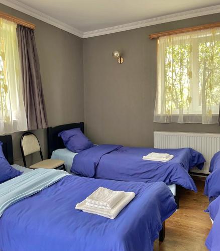 a bedroom with two beds with blue sheets at Piligrim Kazbegi in Kazbegi