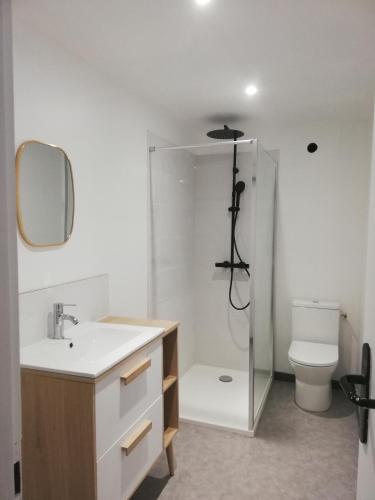 une salle de bain avec une douche, un lavabo et des toilettes dans l'établissement Appartement à Nîmes, au coeur d'un terrain de 3600m2 avec piscine, à Nîmes