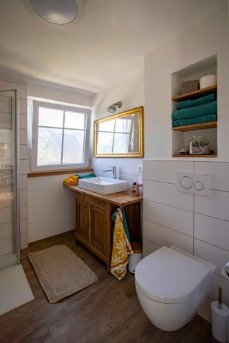 a bathroom with a toilet and a sink at Paulas Ferienhaus in Buchen