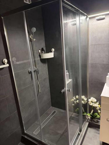 a shower with a glass door in a bathroom at MiDo in Zalaegerszeg