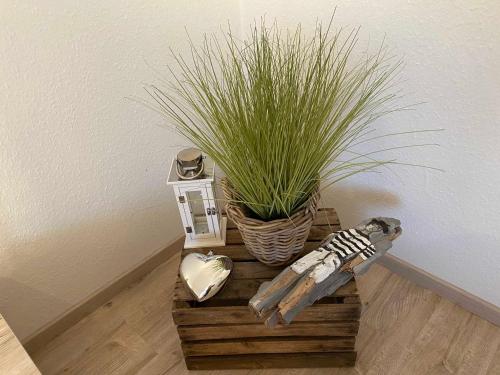 a plant sitting on a wooden crate next to a plant at Sonnenkoje in Apensen