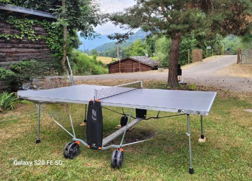 a ping pong table in the grass next to a tree at LES CHALETS de MONTORGUEIL in Saurat