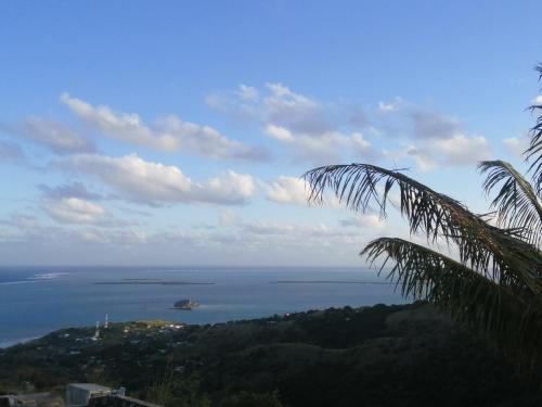a view of the ocean from a palm tree at Ô Bercail du Sud-Hibiscus chez Jeannette in Mt Bois Noir