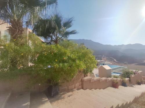 a retaining wall with trees and a palm tree at IL MONTE Galala -families only- المونت جلالة in Ain Sokhna