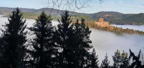 a view of a lake with trees in the foreground at Ferienhaus Korn mitten im schönen Pfälzer Wald, Privat Haus in Bruchweiler-Bärenbach