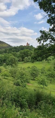a green field with trees and a castle in the distance at Ferienhaus Korn mitten im schönen Pfälzer Wald, Privat Haus in Bruchweiler-Bärenbach