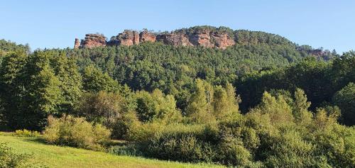 a mountain with trees and rocks in the distance at Ferienhaus Korn mitten im schönen Pfälzer Wald, Privat Haus in Bruchweiler-Bärenbach