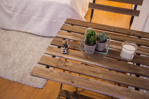 a wooden bench with cactuses and glasses on it at Casa del Jazz Historical Center in Piazza Armerina