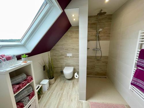 a attic bathroom with a shower and a toilet at Haus Lotusblüte in Kelberg