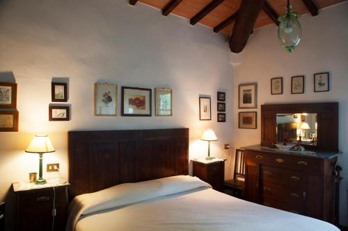 a bedroom with a bed and a dresser and a mirror at Agriturismo Santa Maria in Torrita di Siena