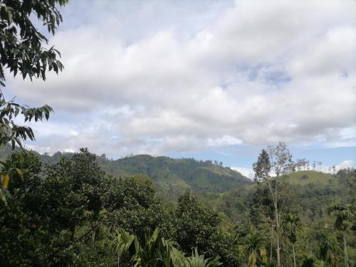 auliculiculiculiculiculiculiculiculiculiculiculiculiculiculic at Ella Mountain Inn in Ella