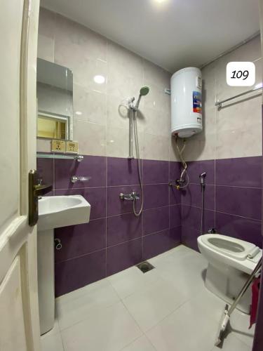 a bathroom with a toilet and a sink at River View Hotel Shigar in Shigar