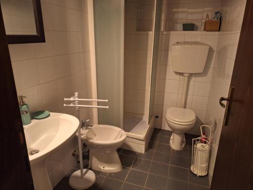 a bathroom with a sink and a toilet and a shower at Il casale dei tigli in Limite