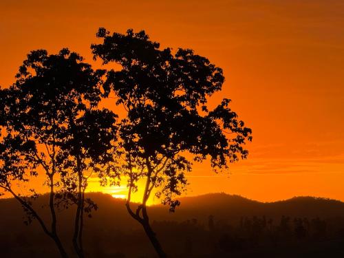 a sunset with two trees in the foreground at Bangalô do Recanto dos Lagos in Caconde