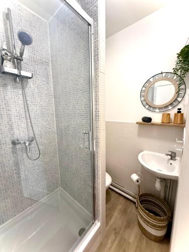 a bathroom with a shower and a sink at Studio Sunshine Saint-Omer Centre in Saint-Omer