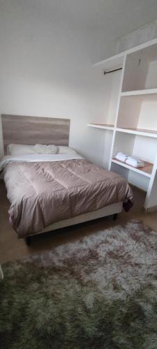 ein Schlafzimmer mit einem Bett und einem grünen Teppich in der Unterkunft Departamento para dos personas in Río Gallegos