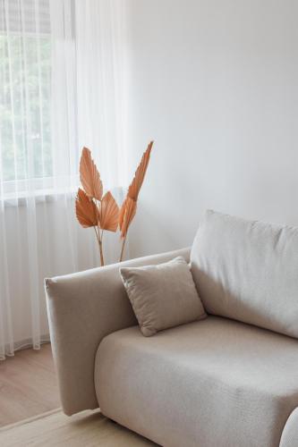a couch in a living room with a plant at Nidos Banga in Nida