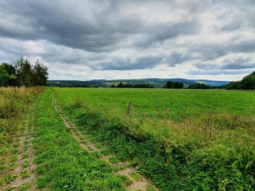 a field with a dirt track in the grass at Ferienwohnung Landidylle in Birx