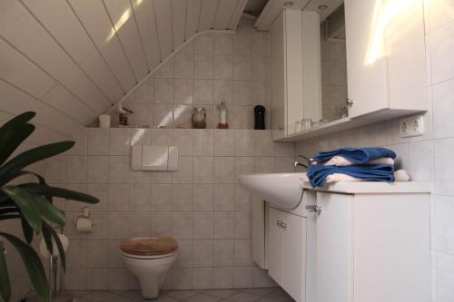 a bathroom with a sink and a toilet at Ferienwohnung Landidylle in Birx