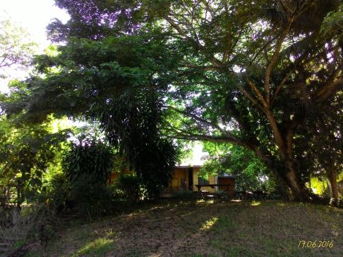 Giardino di Sepilok B&B