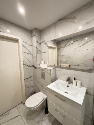 a white bathroom with a toilet and a sink at Soh Rent Strasbourg Wifi Terrasse St Aloise in Strasbourg