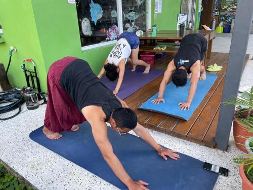 a group of people doing a yoga pose on mats at Fire Island Guest House in Green Island