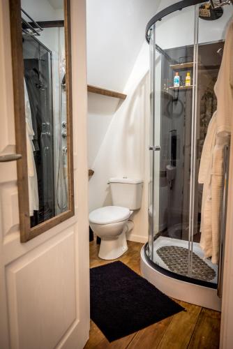 a bathroom with a toilet and a shower at Gite Belle Vue, Sourdeval in Sourdeval