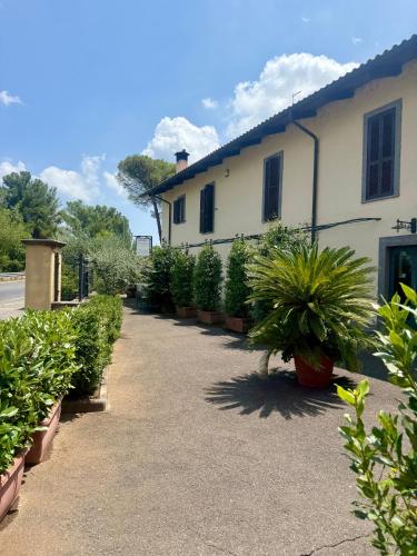 a row of potted plants in front of a building at Il Bersagliere Guest House in Colonna