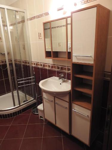 ein Bad mit einem Waschbecken, einer Dusche und einem WC in der Unterkunft Penzion Kiska Levočská Dolina, ubytovanie v súkromí in Levoča