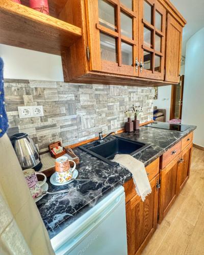 a kitchen with a sink and a counter top at Etno Garden Apartments in Plitvička Jezera