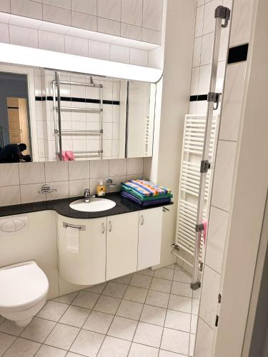 a white bathroom with a toilet and a sink at Royal Stay - Spacious City Apartment - Best Location Bern in Bern