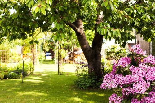 Zahrada ubytování Hafenhaus Bootsquartier