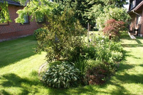 a garden with a tree in the middle of a yard at Landgasthaus Zum Naturschutzpark in Bispingen
