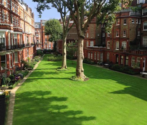 two trees in the middle of a lawn in front of buildings at The Franklin London - Starhotels Collezione in London