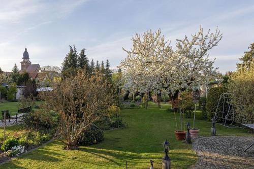 Zahrada ubytování Hafenhaus Leuchtturm
