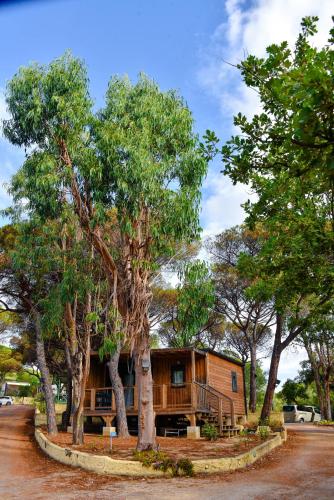 Gallery image of Camping la Croix du Sud in Saint-Tropez