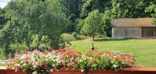 a bunch of flowers in a flower box in a yard at Gasthaus Zum Schneider in Pottenstein
