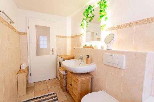 a bathroom with a sink and a toilet and a mirror at Ferienwohnungen Klein Kapelle in Gingst