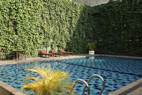 a swimming pool with chairs and a ivy covered wall at Hotel Casamara in Kandy
