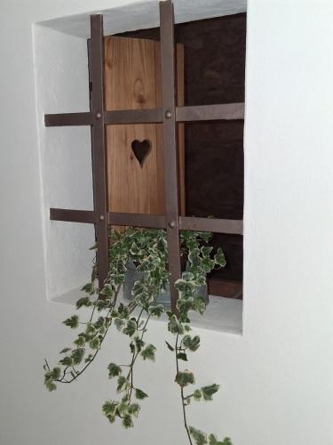 a plant in a vase next to a wooden door at La Valletta in Calenzano