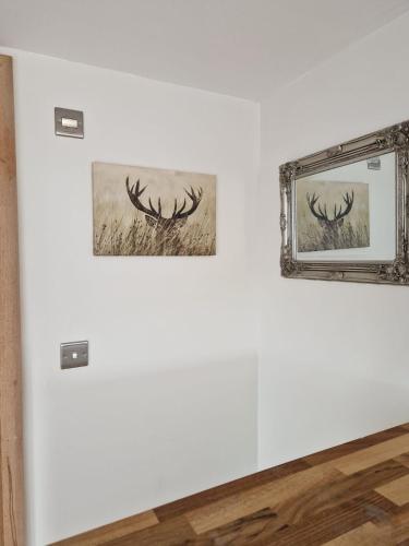 two pictures of deer antlers on a wall next to a mirror at Luxury Cottage by Fairy Pools 4 in Carbost