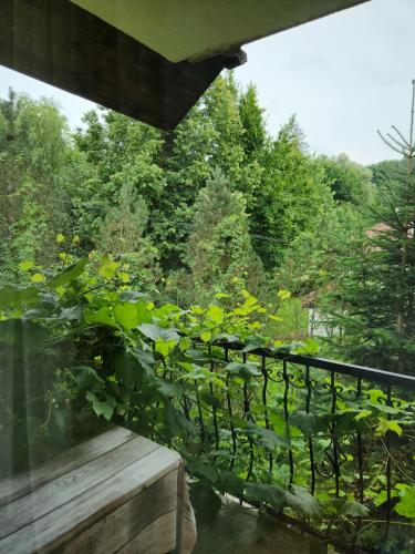 a view of a garden from a balcony at REKLINIEC in Myślenice
