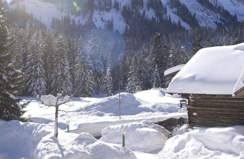 a snow covered yard with a house and trees at Alpenhotel DAS KÜREN in Hirschegg