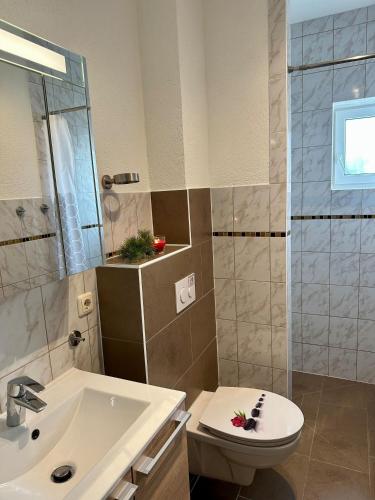 a bathroom with a toilet and a sink and a shower at Sonnenschein - ABC237 in Zierow