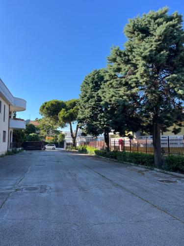 an empty street with two trees and a fence at La Casa dei Pini in Porto San Giorgio