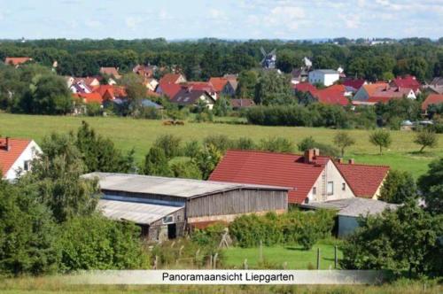 a town with houses and trees in a field at Ferienwohnung "Safari" in Liepgarten