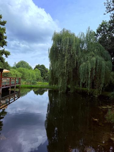 a pond with a weeping willow tree and a bridge at Restauracja i Noclegi Izba Rybacka w Krainie Wygasłych Wulkanów in Podgórki